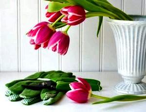 Как продлить жизнь срезанных цветов в вазе?